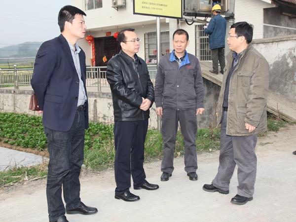 李宁到储煤基地用地实地调研.jpg