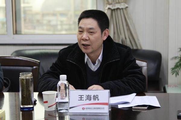 集团公司党委副书记、纪委书记王海帆作重要讲话.JPG