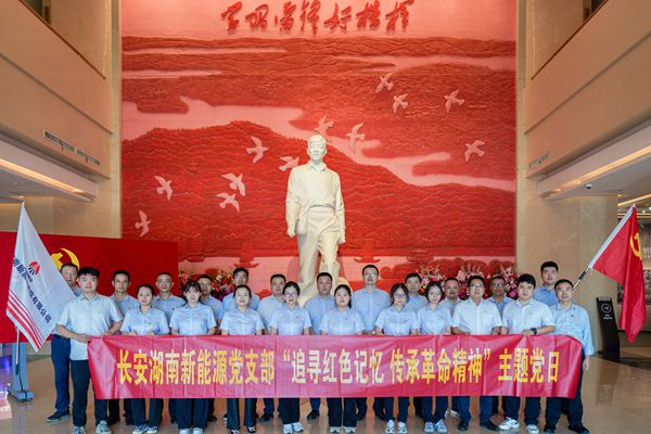 新能源主题党日_副本.jpg